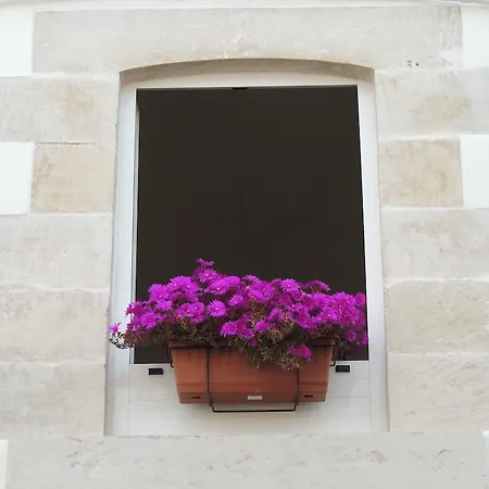 Le Fiche D'india ゲストハウス