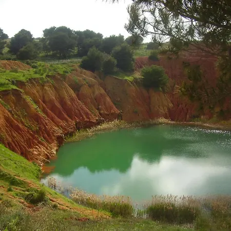 Le Fiche D'india Giuggianello